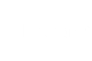 Integer Logo
