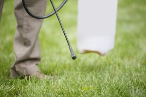 weed spraying